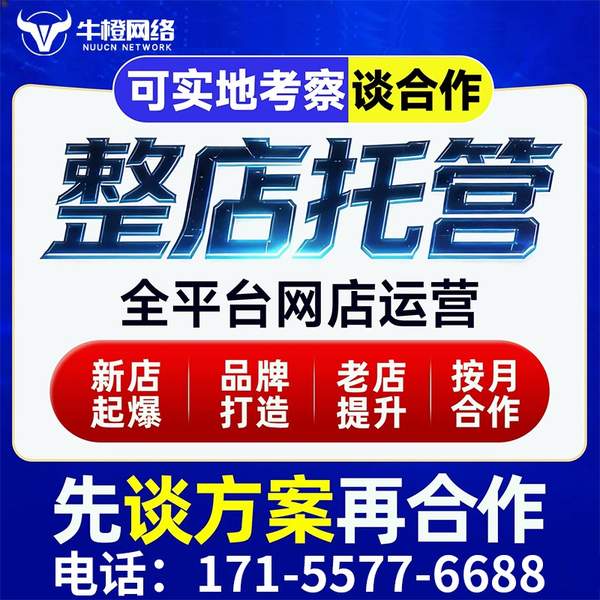 包头电商代运营