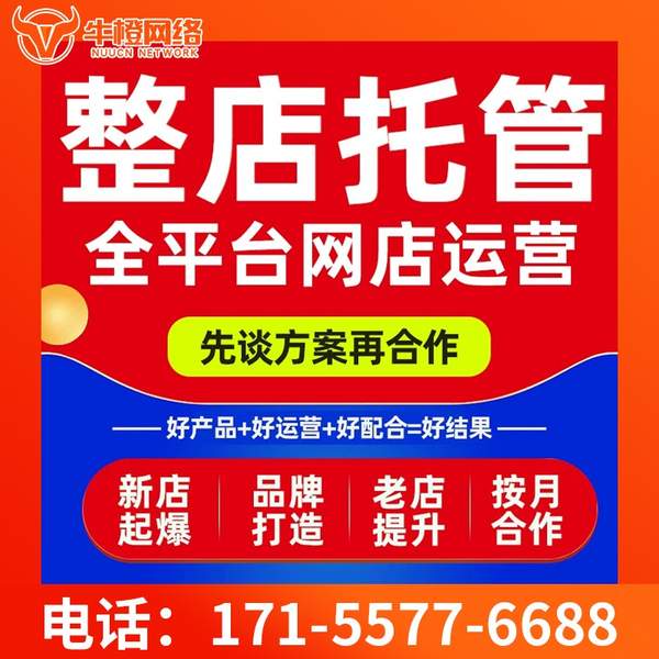 包头电商代运营