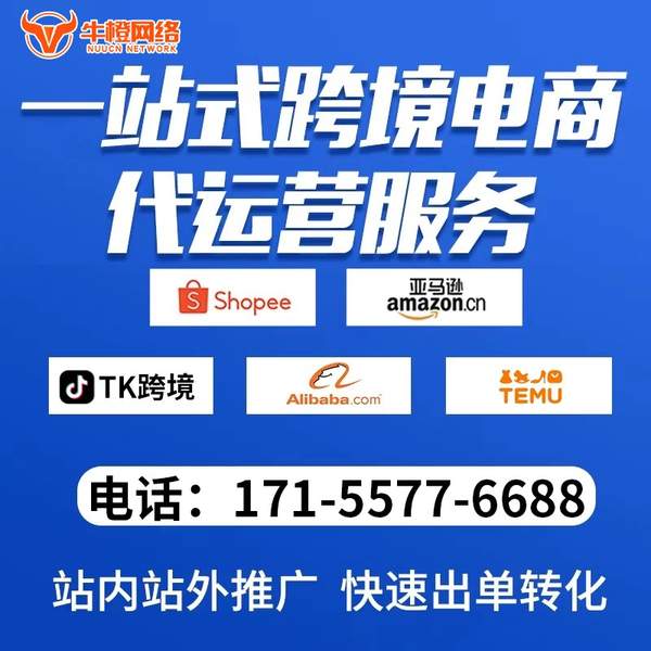 包头电商代运营